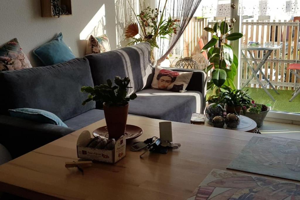 Appartement Complet Et Parking Protege La Teste-de-Buch Ngoại thất bức ảnh